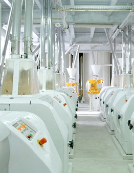 service-image-2